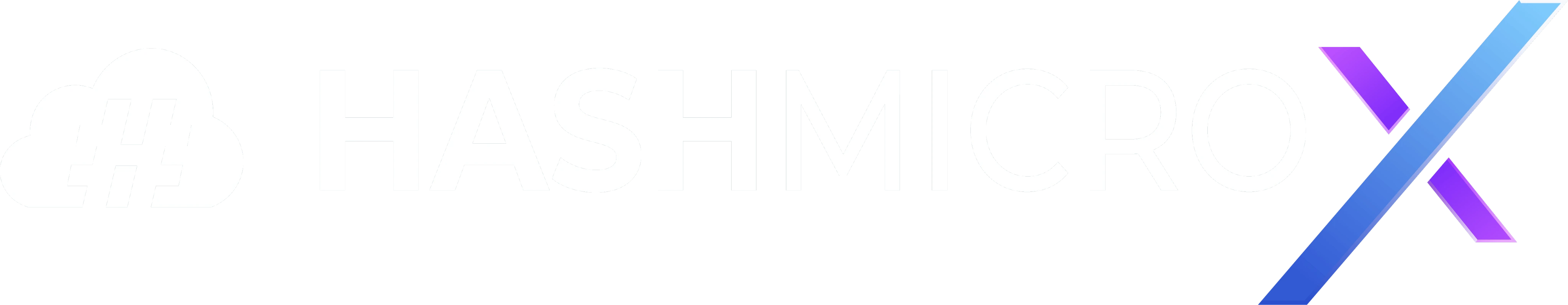 HashMicro X